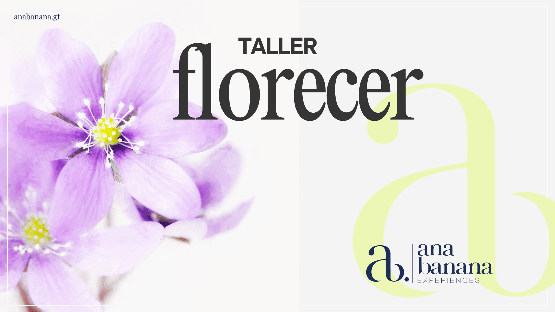 Florecer